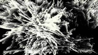 Trapcode Form: Surreal edit (HD)