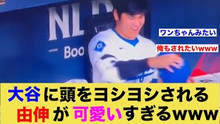 大谷に頭をなでられてご機嫌な由伸が可愛いすぎるwww