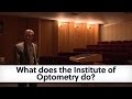 What does the Institute of Optometry do?