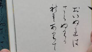 #曼殊院本古今集　★10（おいぬれば～）伝藤原行成筆