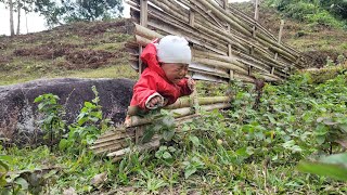 The mother went to pick vegetables, left her son home alone and the two brothers went out