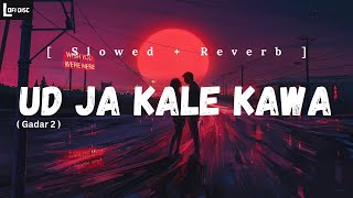 Ud Ja Kale Kawa ( Slowed + Reverb ) | Udit Narayan | Gadar 2 | Lofi Disc | Lofi Music