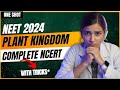 NEET 2024 Plant Kingdom One Shot | Class-11 Biology.