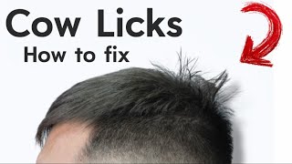 How to Deal with Cowlicks