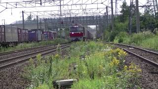 サッポロビール庭園駅　貨物列車通過DE200