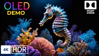 OUTSTANDING Dolby Vision 4K HDR 60FPS - CORAL LIFE- 4K Video ULTRA HD