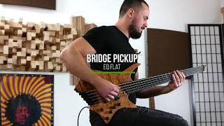 Boden Bass Prog 5 Reference