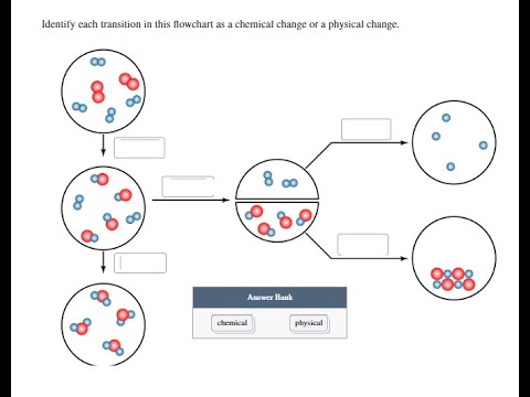 Chemistry Help: Identify Each Transition In This Flowchart As A ...