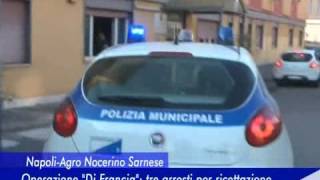 OPERAZIONE CONGIUNTA ANTICRIMINE DELLE POLIZIE LOCALI DELLA CAMPANIA \