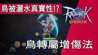 「仙境傳說 愛如初見」鳥獵 灑水 鳥被轉屬 其實沒原生屬性增傷