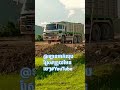 @ឡានចាក់លុបស្រែ ឡូយមែនមេៗ youtube music