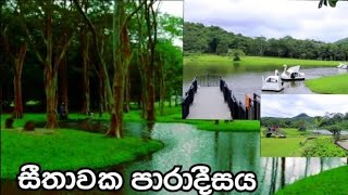 Seethawaka Wet Zone Botanic Gardens (Avissawella) - Best things to do in Colombo