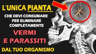 Solo 2 Cucchiai... Elimina Tutti I Vermi E I Parassiti Dal Tuo Corpo