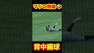 【伝説】野球史上最高？のミラクルキャッチ　#Shorts #mlb #baseball #野球 #メジャー