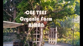 Cee Tees Farm Ajman | Organic Farm | Free entry | #ceetees #farm #ajman #touristplace