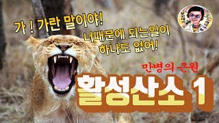 활성산소/ 황원태의 노래약국