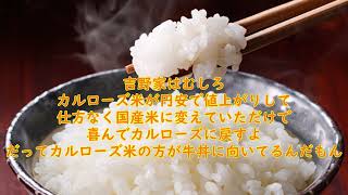 【悲報】米の値上げが止まらない！来年さらに高騰する理由を米屋が解説