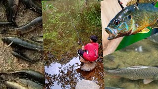 മീൻ പിടിക്കാൻ സ്വന്തമായി ചൂണ്ട ഉണ്ടാക്കി.. (fish trap )#fishing #fish #fisherman #fishingvideo