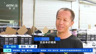 [第一时间]金秋“丰”景 山西文水：万亩梨果挂满枝 个大品优销路畅|CCTV财经