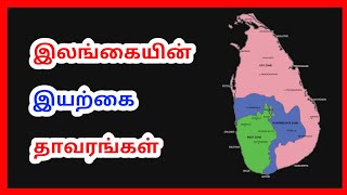 இலங்கையின் இயற்கை தாவரங்கள்| SriLanka Natural Plants Types | Tamil Geography News