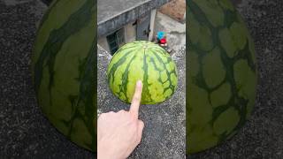 Experiment: Will a watermelon explode if it rolls down from a tall building?#shorts