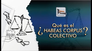 ¿Qué es el Habeas Corpus Colectivo? - TTR # 333