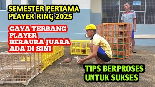 Terbaru sembilan player 2025 sinar baru bird farm,,persiapan nasional 2025