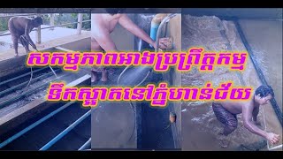 សកម្មភាពអាងប្រព្រឹត្តកម្មទឹកស្អាតនៅភ្នំហាន់ជ័យ,Water treatment activity in Phnom Han Chey