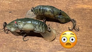 DANG!!!…Can’t Believe How Many Dudes Are Outraged By My Rebel Crawdad Video…