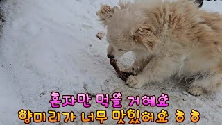 눈 그만 좀 내려라  매일 눈이다 밖에 못 나가면 눈을 즐기자