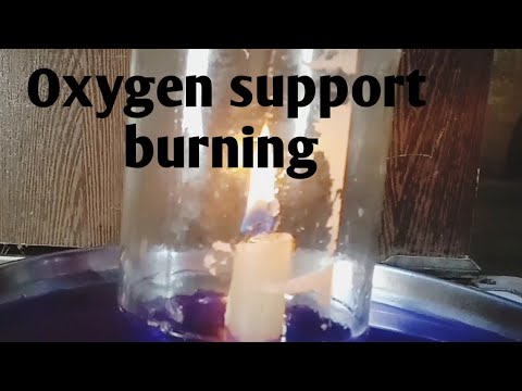 Does nitrogen support burning?
