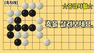 [139] 중급사활 / 흑을 살렬보세요.