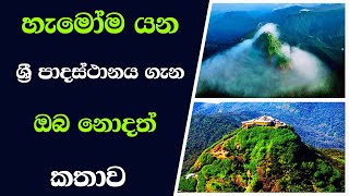 හැමෝම යන ශ්‍රී පාදස්ථානය ගැන ඔබ නොදත් කතාව  | sri padaya