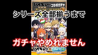 【ぷよクエ】ハイキュー!!コラボガチャ全種類揃うまでやめれません！【第１回コラボ】