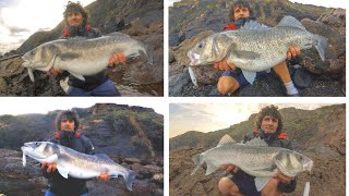 Des Bars Énormes du bord dans les vagues! Pêcher Du Bar Aux Leurres Partie 2