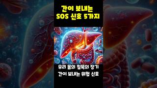 간이 살려달라고 보내는 5가지 신호! 당신의 간이 망가지고 있다