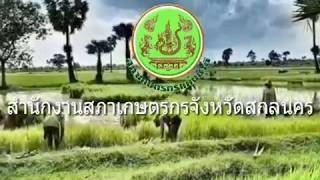 การจัดทำแผนพัฒนาเกษตรกรรมระดับตำบลฯ ของตำบลท่าก้อน อ.อากาศอำนวย จ.สกลนคร