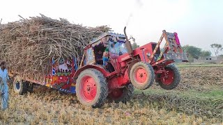 Belarus 510 Tractor Fail | Shandar performance | Belarus tractor with fully loaded sugarcane trolley