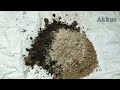 ചൈനീസ്‌ ബാൽസം ചീഞ്ഞു പോകാതെ ഇരിക്കാൻ.. coconut husk potting mix for chinese balsam.