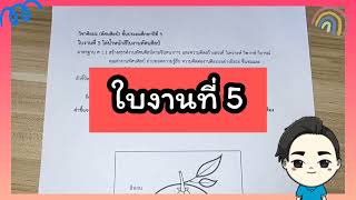 ใบงานที่ 5 ชั้นป.3