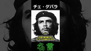 チェ・ゲバラ 名言⑥