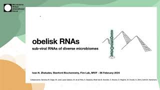 Ivan Zheludev - Viroid-like colonists of human microbiomes | S03 MVIF26