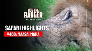 Safari Highlights #488: 27th March 2018 | Maasai Mara/Zebra Plains | Latest #Wildlife Sightings