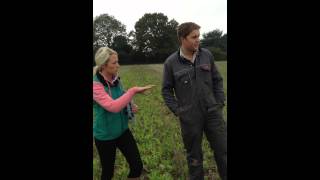 DSV TerraLife (Cover crops) Farmer Interview (1)