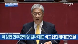 유성엽 민주평화당 원내대표 비교섭단체 대표연설