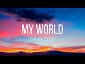 Calum Scott - My World (Lyrics)