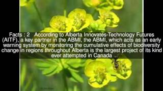 Alberta Biodiversity Monitoring Institute Top  #6 Facts