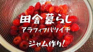 【田舎暮らし料理人】ラズベリージャムを作りましょう