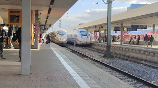 Züge in Mannheim Hbf 02.11.2024 🇩🇪