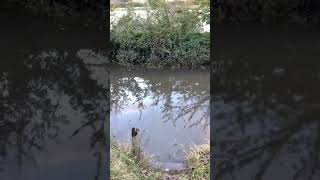 Gonna drive through it? When the road FLOODS, Alfriston East Sussex flooding \u0026 storms